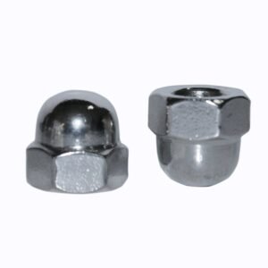 304 Stainless Steel Acorn Cap Nuts (DIN 1587)