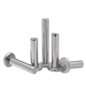 Stainless Steel Round Head Solid Rivets